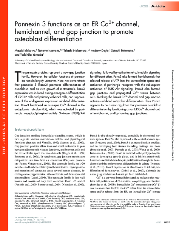 (PDF) Pannexin 3 functions as an ER Ca2+ channel, hemichannel, and gap ...