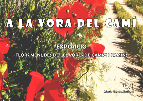 (PDF) A la vora del camí