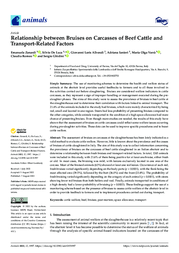 (PDF) Relationship between Bruises on Carcasses of Beef Cattle and ...