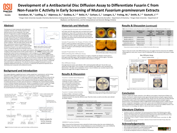 (PDF) Development of a Antibacterial Disc Diffusion Assay to ...