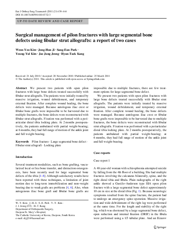 (PDF) Surgical management of pilon fractures with large segmental bone ...