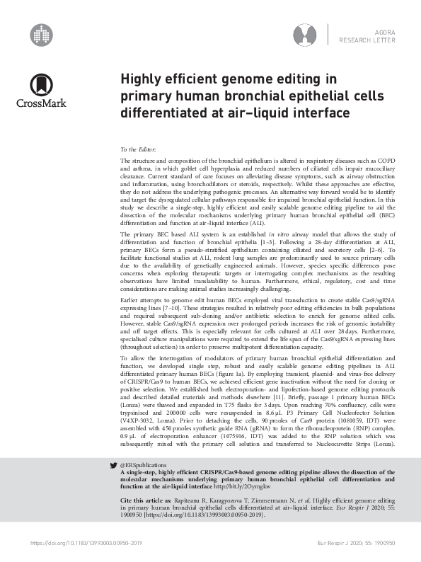 (PDF) Highly efficient genome editing in primary human bronchial ...