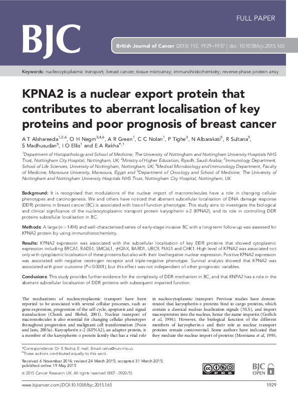 (PDF) KPNA2 is a nuclear export protein that contributes to aberrant ...