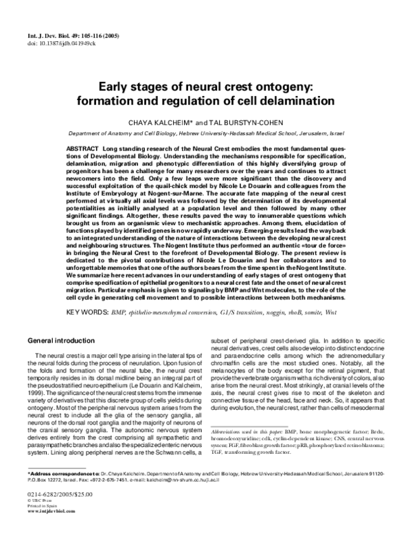 (PDF) Early stages of neural crest ontogeny: formation and regulation ...