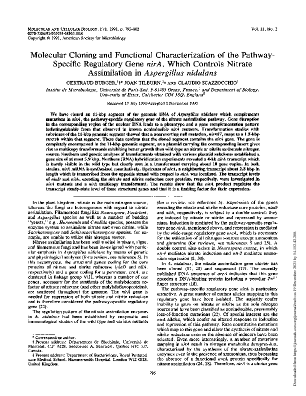 (PDF) Molecular cloning and functional characterization of the pathway ...