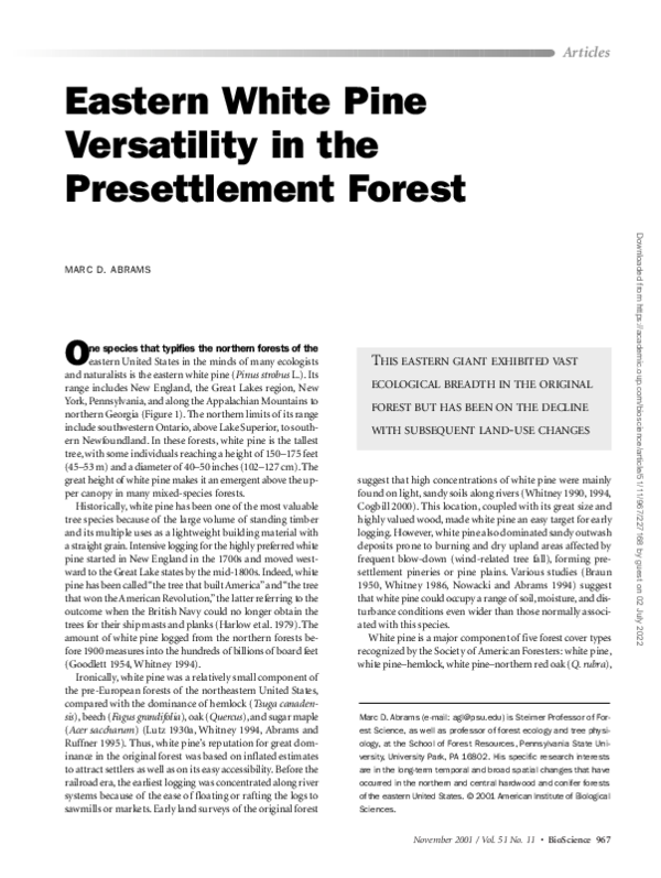 (PDF) Eastern White Pine Versatility in the Presettlement Forest