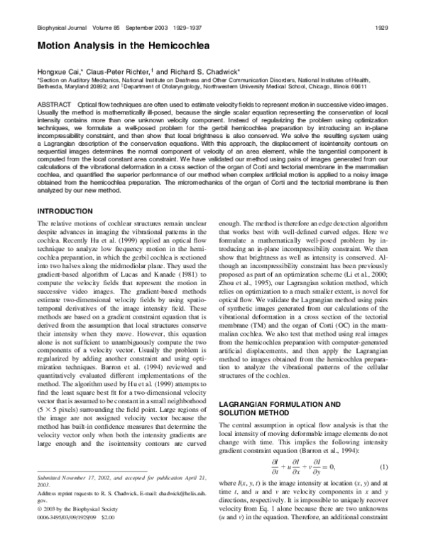 (PDF) Motion Analysis in the Hemicochlea