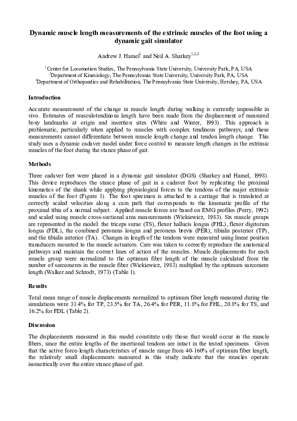 (PDF) Dynamic muscle length measurements of the extrinsic muscles of ...