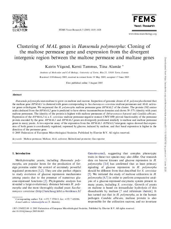 (PDF) Clustering of genes in : Cloning of the maltose permease gene and ...
