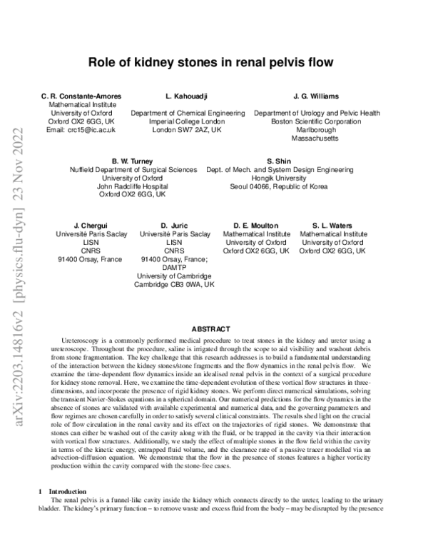 (PDF) Role of Kidney Stones in Renal Pelvis Flow