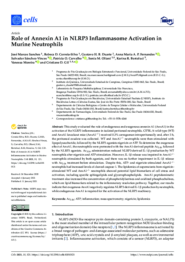 (PDF) Role of Annexin A1 in NLRP3 Inflammasome Activation in Murine ...