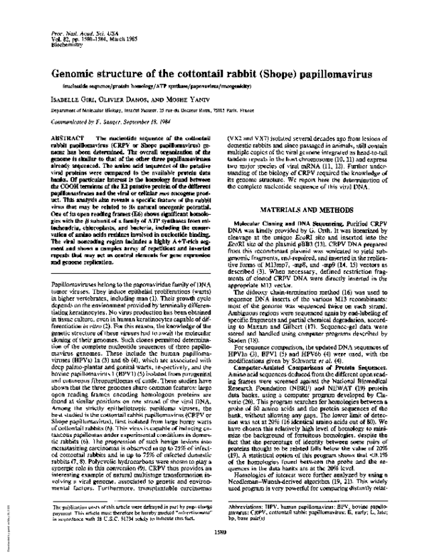 (PDF) Genomic structure of the cottontail rabbit (Shope) papillomavirus