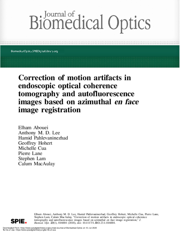 (PDF) Correction of motion artifacts in endoscopic optical coherence