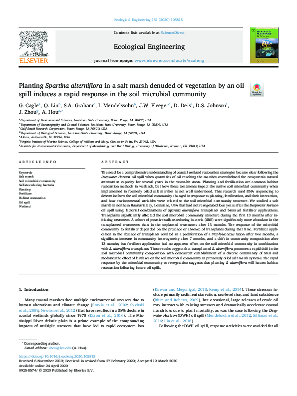 (PDF) Planting Spartina alterniflora in a salt marsh denuded of ...