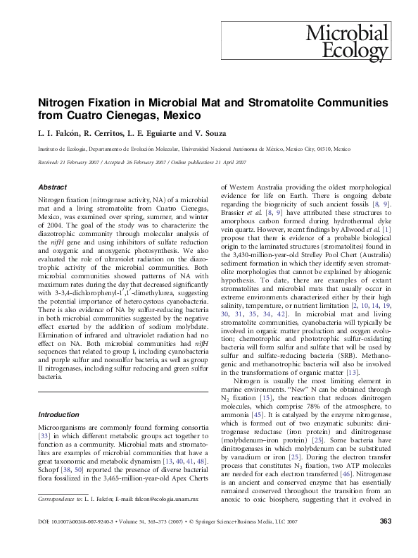 (PDF) Nitrogen Fixation in Microbial Mat and Stromatolite Communities