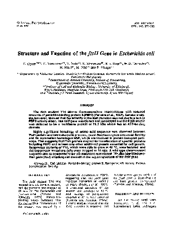 (PDF) Structure and function of the ftsH gene in Escherichia coli