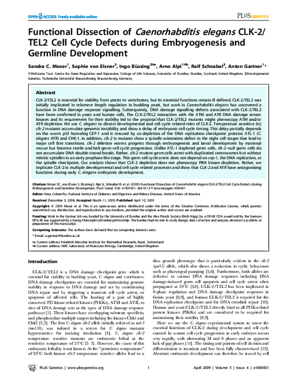 (PDF) Functional Dissection of Caenorhabditis elegans CLK-2/TEL2 Cell ...