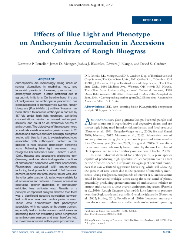 (PDF) Effects of Blue Light and Phenotype on Anthocyanin Accumulation ...