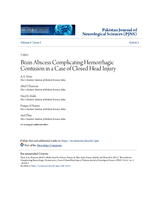 (PDF) Brain abscess complicating hemorrhagic contusion in a case of ...
