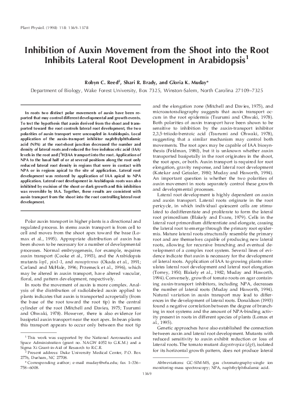 (PDF) Inhibition of Auxin Movement from the Shoot into the Root ...