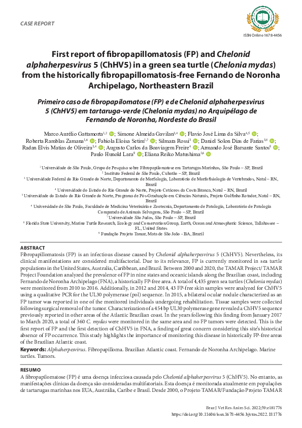 (PDF) First report of fibropapillomatosis (FP) and Chelonid ...