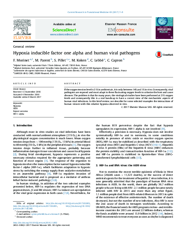 (PDF) Hypoxia inducible factor one alpha and human viral pathogens