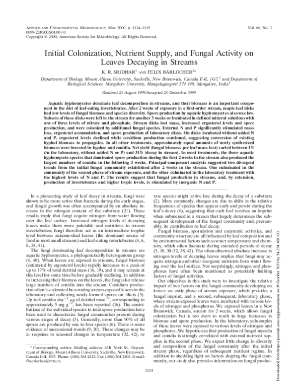 (PDF) Initial Colonization, Nutrient Supply, and Fungal Activity on ...