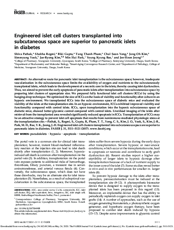 (PDF) Engineered islet cell clusters transplanted into subcutaneous ...