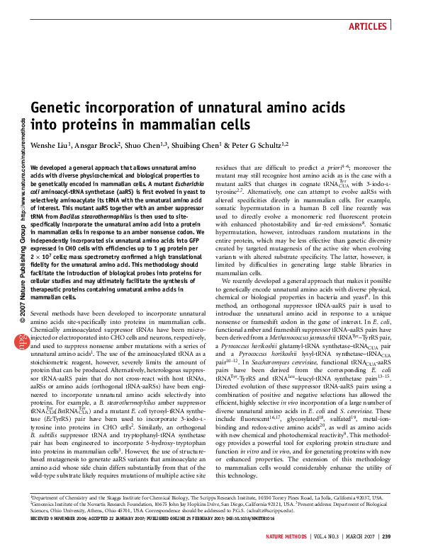 (PDF) Genetic incorporation of unnatural amino acids into proteins in ...