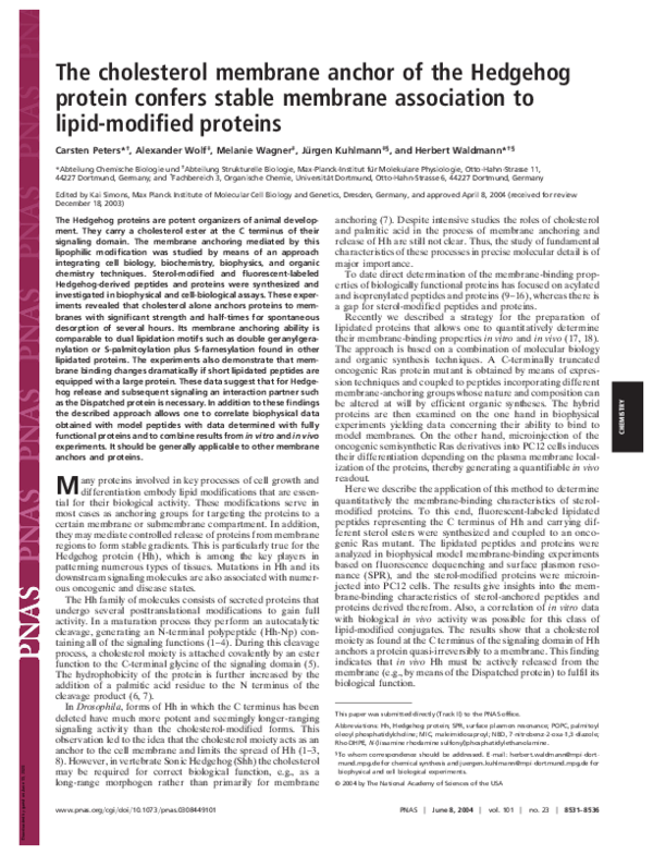(PDF) The cholesterol membrane anchor of the Hedgehog protein confers ...