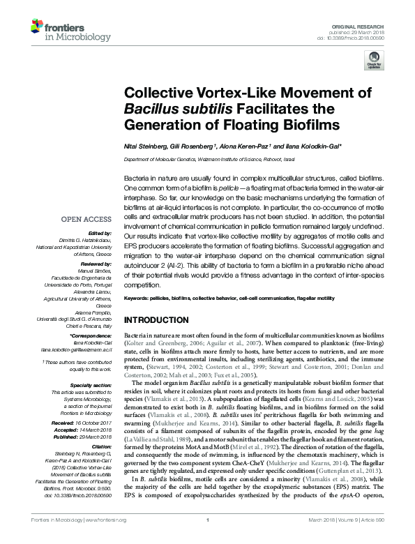 (PDF) Collective Vortex-Like Movement of Bacillus subtilis Facilitates ...