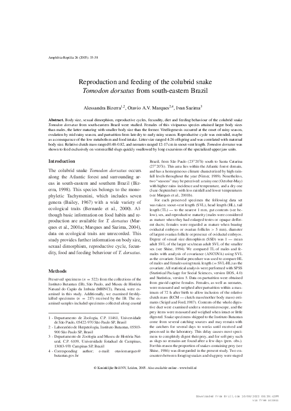 Photo inspiration: Fresh Look at Pdf Reproduction And Feeding Of The Colubrid Snake Tomodon Dorsatus