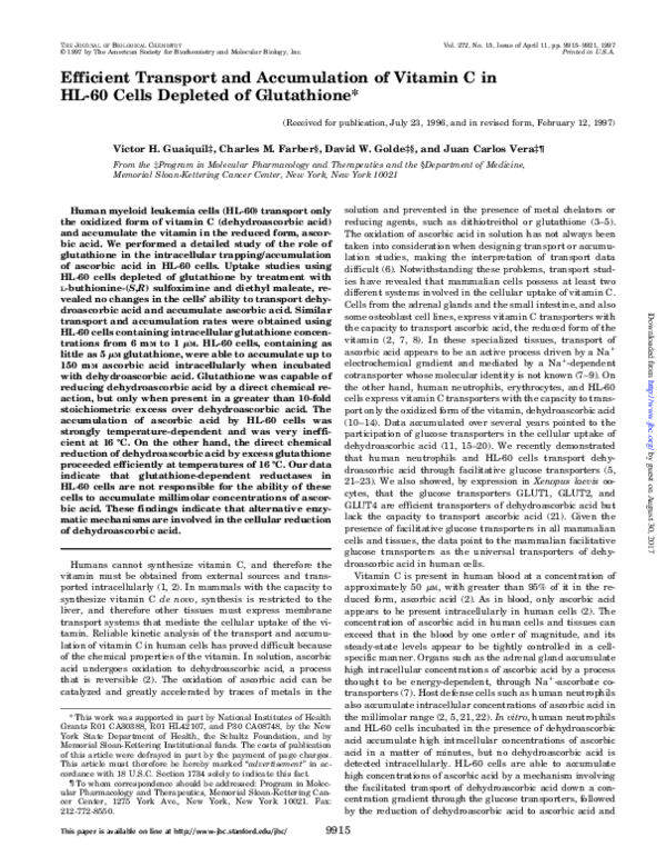 (PDF) Efficient Transport and Accumulation of Vitamin C in HL-60 Cells ...