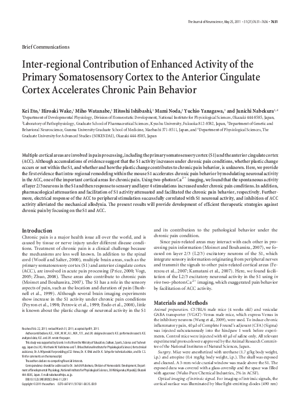 (PDF) Inter-regional Contribution of Enhanced Activity of the Primary ...