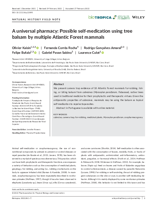 (PDF) A universal pharmacy: Possible self‐medication using tree balsam ...