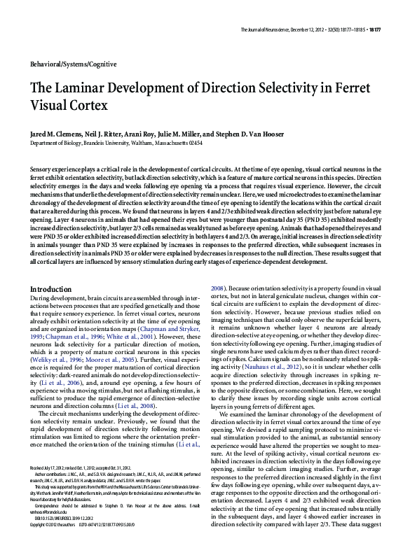 (PDF) The Laminar Development of Direction Selectivity in Ferret Visual ...