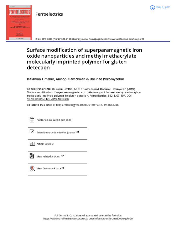(PDF) Surface modification of superparamagnetic iron nanoparticles with ...