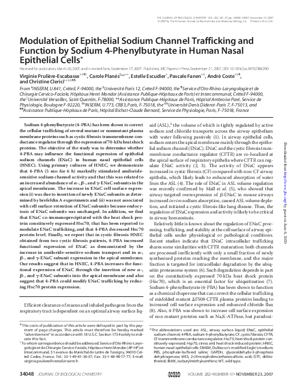 (PDF) Modulation of Epithelial Sodium Channel Trafficking and Function ...