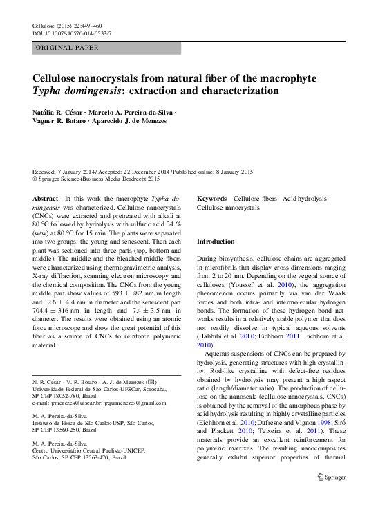 (PDF) Cellulose nanocrystals from natural fiber of the macrophyte Typha ...