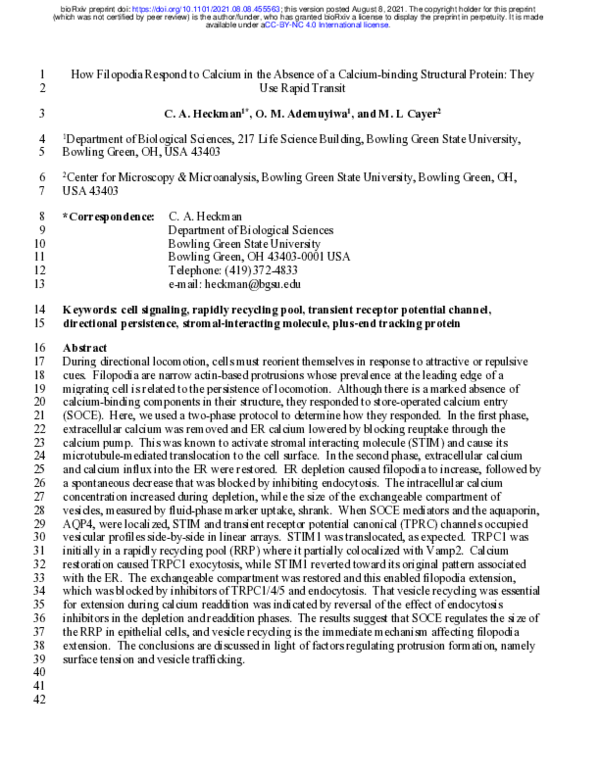 (PDF) How Filopodia Respond to Calcium in the Absence of a Calcium ...