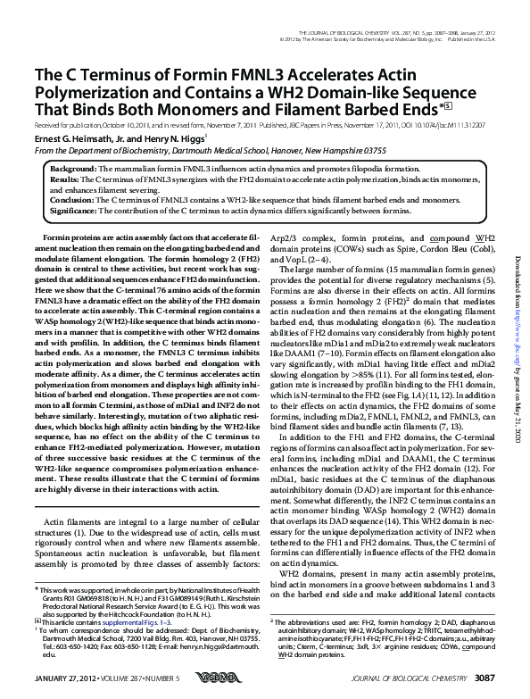 (PDF) The C Terminus of Formin FMNL3 Accelerates Actin Polymerization ...