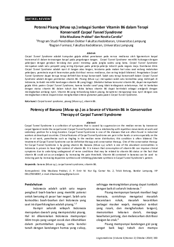 (PDF) Potensi Pisang (Musa sp.) sebagai Sumber Vitamin B6 dalam Terapi