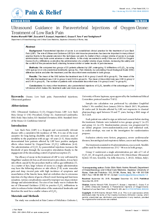 (PDF) Ultrasound Guidance in Paravertebral Injections of Oxygen-Ozone ...
