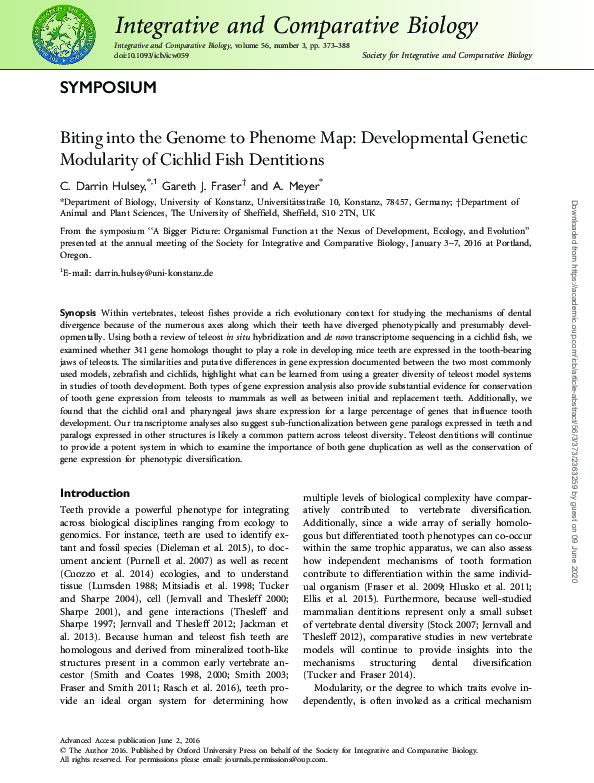 (PDF) Biting into the Genome to Phenome Map: Developmental Genetic ...