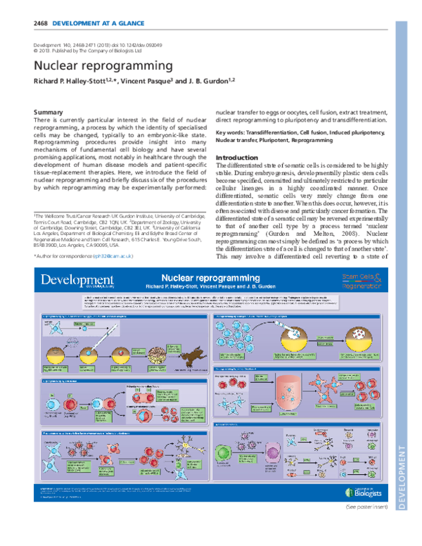 (PDF) Nuclear reprogramming
