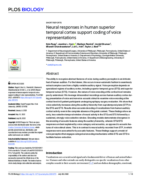 (PDF) Neural responses in human superior temporal cortex support coding ...
