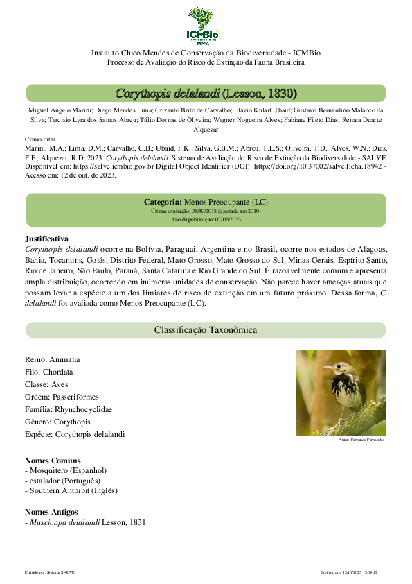 (PDF) Ficha de Corythopis delalandi Crizanto Brito de Carvalho