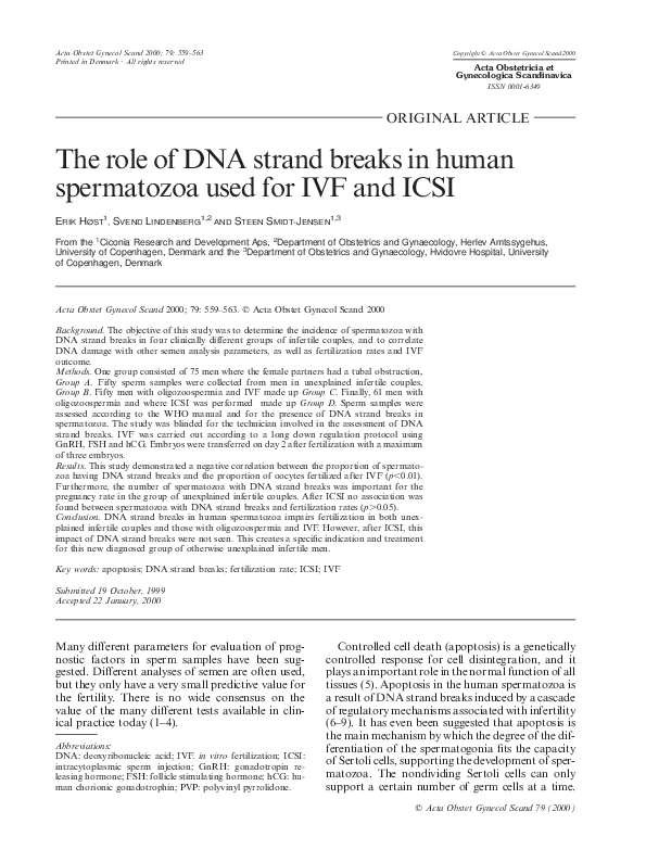 (PDF) The role of DNA strand breaks in human spermatozoa used for IVF ...