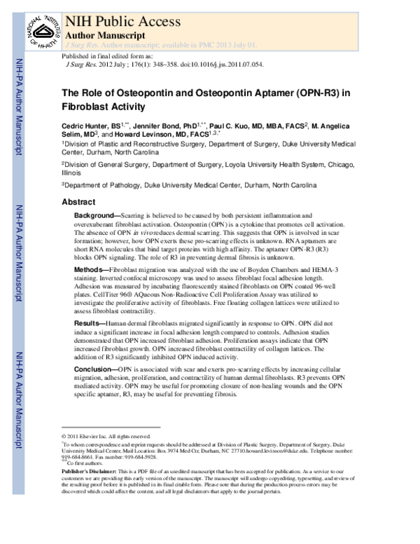 (PDF) The Role of Osteopontin and Osteopontin Aptamer (OPN-R3) in ...