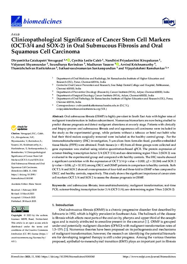 (PDF) Clinicopathological Significance of Cancer Stem Cell Markers (OCT ...